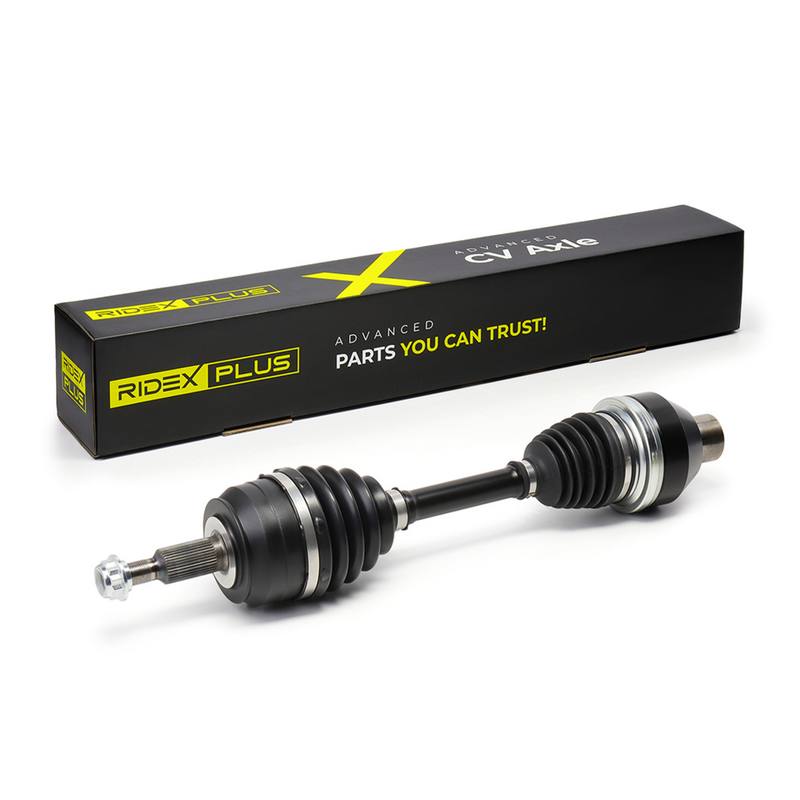 TRN-MSC-RID-VW-NEW-0139 #2