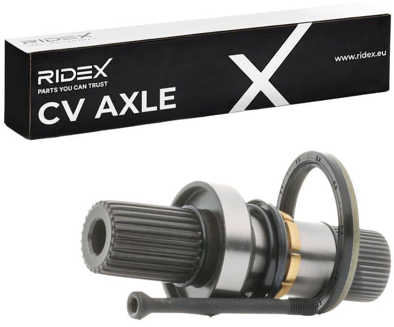 TRN-MSC-RID-VW-NEW-0124 #1