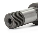 TRN-MSC-RID-VW-NEW-0222 #1