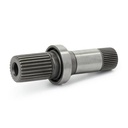 TRN-MSC-RID-VW-NEW-0222 #2