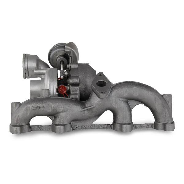 ENG-MSC-RID-VW-NEW-0210 #1