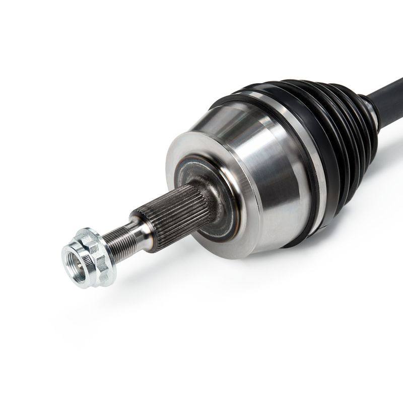 TRN-MSC-RID-VW-NEW-0228 #4