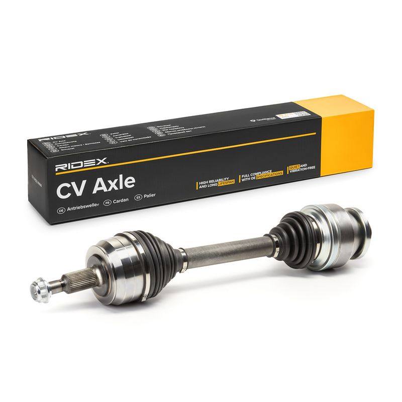 TRN-MSC-RID-VW-NEW-0153 #2