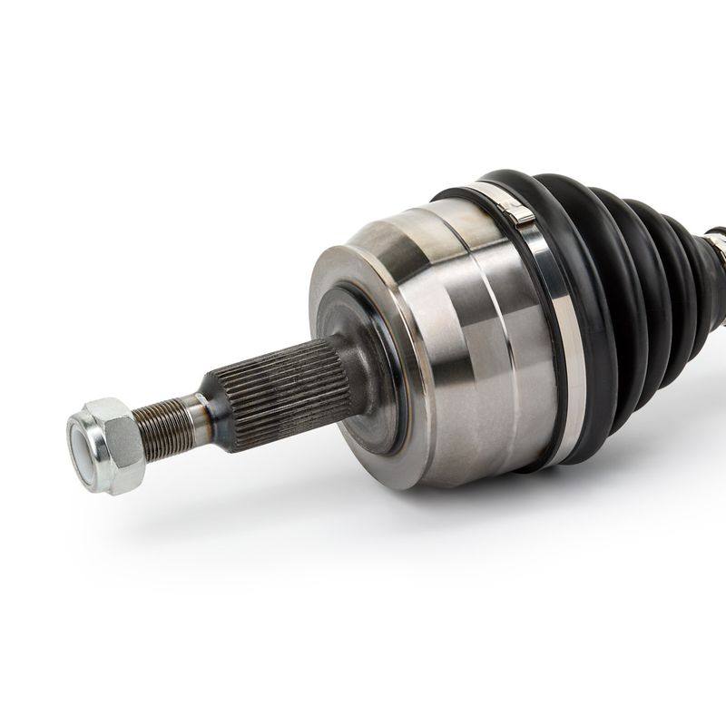 TRN-MSC-RID-VW-NEW-0220 #1