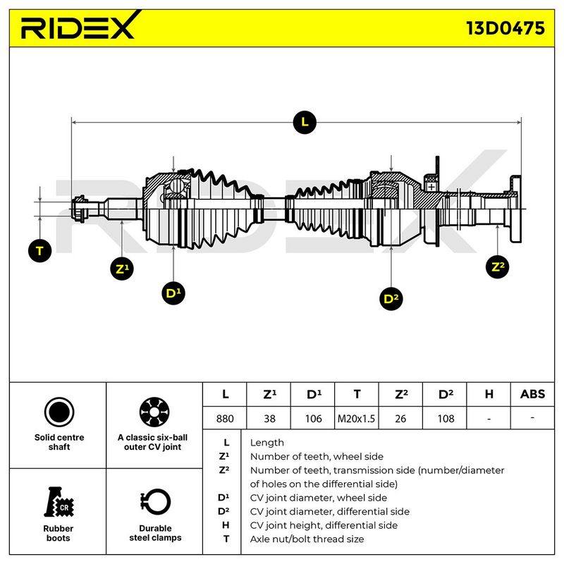 TRN-MSC-RID-VW-NEW-0240 #2