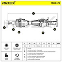 TRN-MSC-RID-VW-NEW-0240 #2