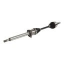 TRN-MSC-RID-VW-NEW-0145 #2