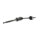 TRN-MSC-RID-VW-NEW-0158 #1