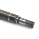 TRN-MSC-RID-VW-NEW-0158 #3