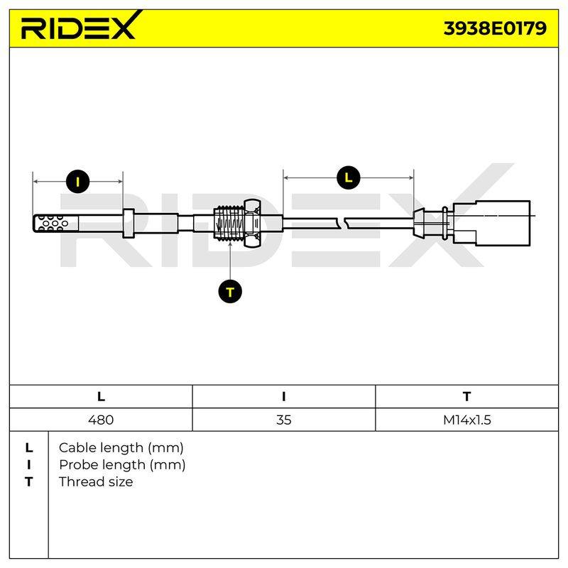 ELE-SEN-RID-VW-NEW-0121 #3