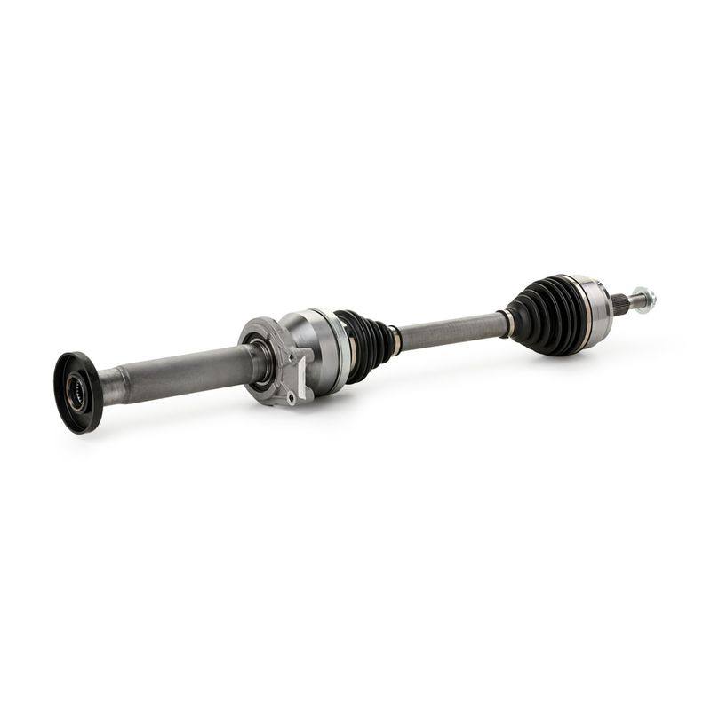 TRN-MSC-RID-VW-NEW-0236 #2