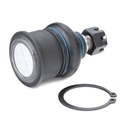 SUS-BJT-RID-ROV-NEW-0002 #2