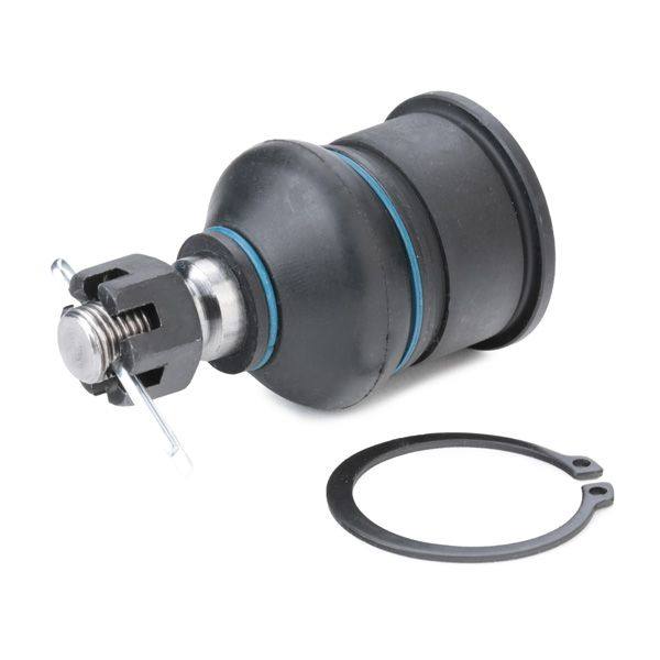 SUS-BJT-RID-ROV-NEW-0002 #4