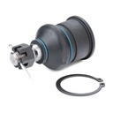 SUS-BJT-RID-ROV-NEW-0002 #4