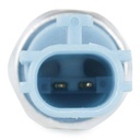 ELE-MSC-RID-REN-NEW-0095 #2
