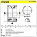 BEA-WBE-RID-DAI-NEW-0001 #3