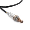 ELE-SEN-RID-VW-NEW-0124 #1