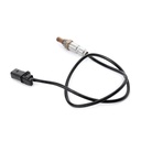 ELE-SEN-RID-VW-NEW-0124 #3