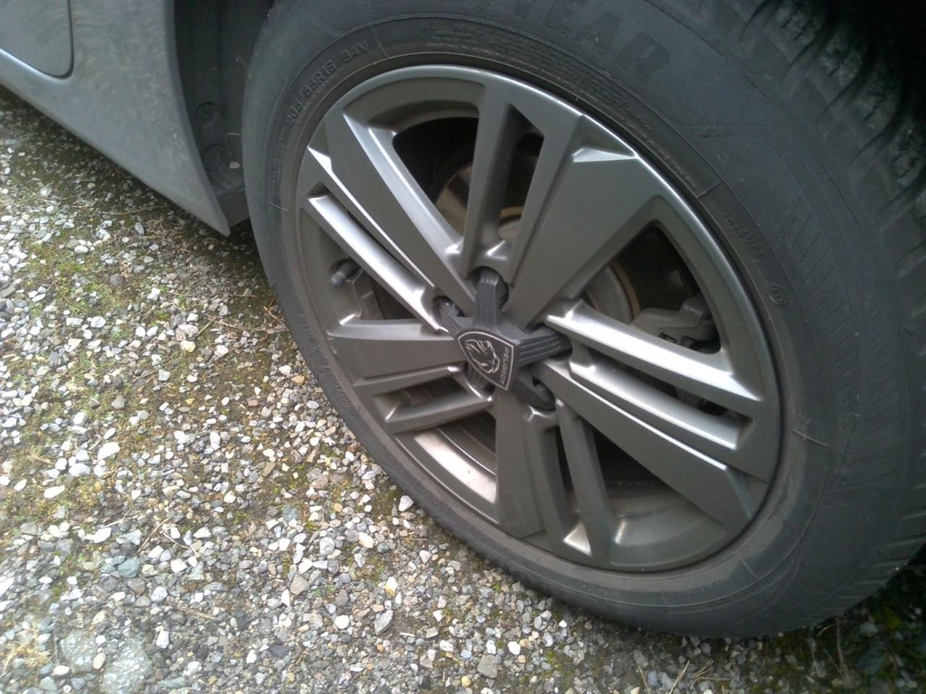 Photo 41