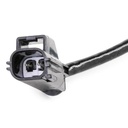 ELE-SEN-RID-MAZ-NEW-0019 #4