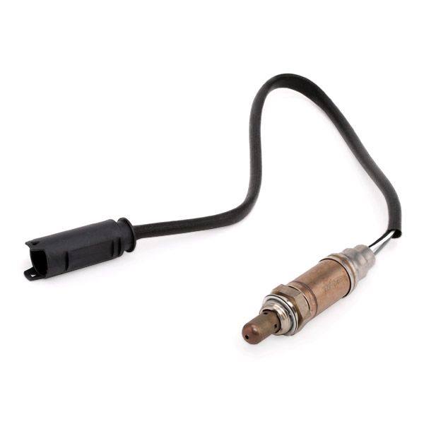 ELE-SEN-RID-BMW-NEW-0063 #1