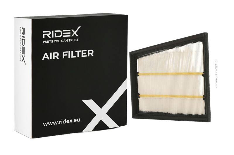 FIL-AIR-RID-REN-NEW-0004 #4