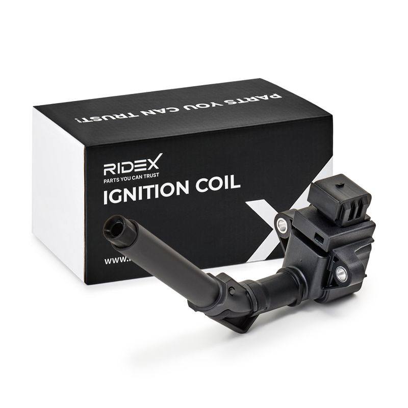 IGN-ICO-RID-REN-NEW-0006 #1
