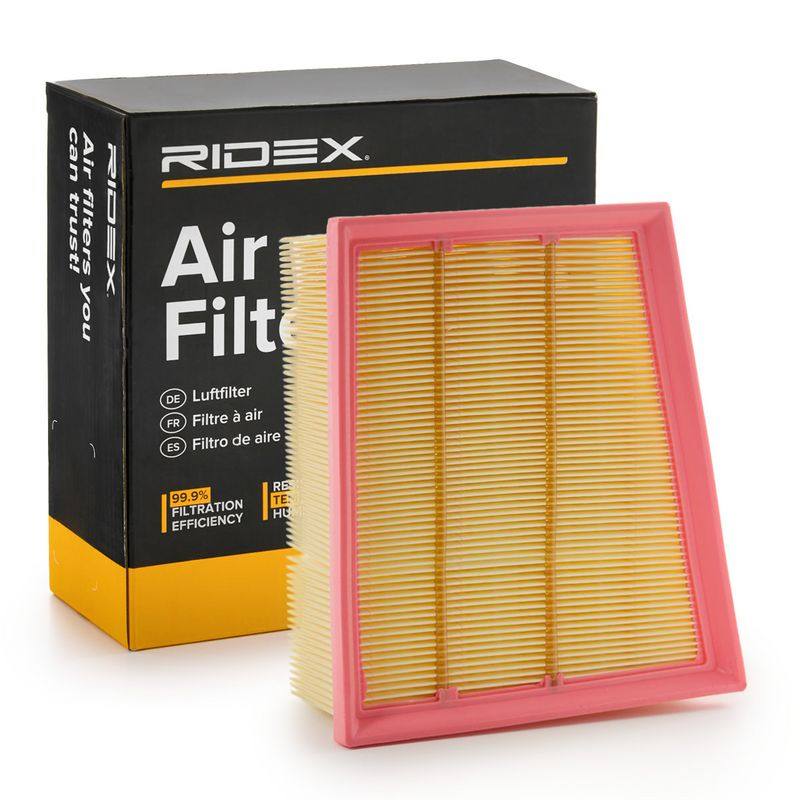 FIL-AIR-RID-REN-NEW-0058 #3
