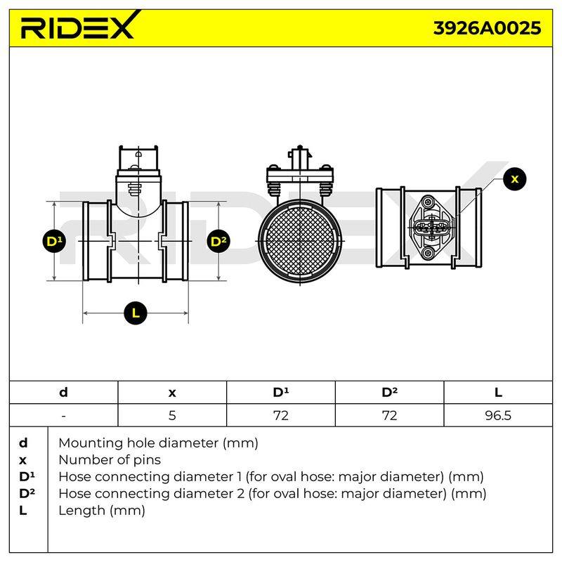 ELE-SEN-RID-CHR-NEW-0094 #3