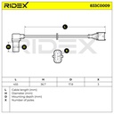 ELE-SEN-RID-LAN-NEW-0056 #1