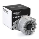 ENG-MSC-RID-LAN-NEW-0038 #2