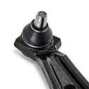 SUS-CAR-RID-LAN-NEW-0010 #2