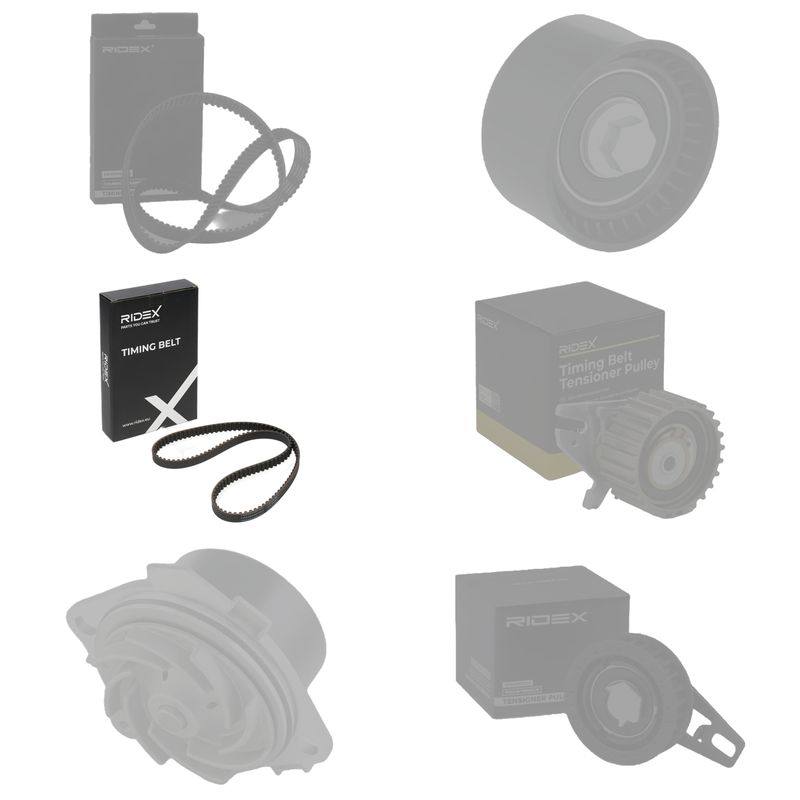ENG-TBE-RID-LAN-NEW-0005 #1