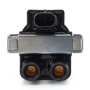 IGN-ICO-RID-LAM-NEW-0004 #3