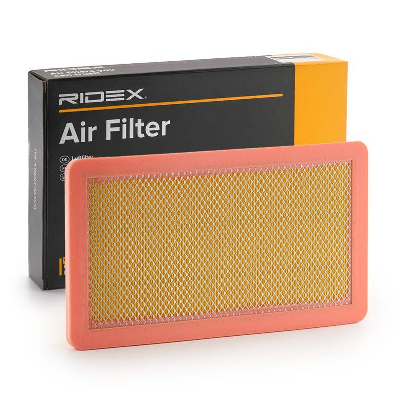 FIL-AIR-RID-LAN-NEW-0018 #2