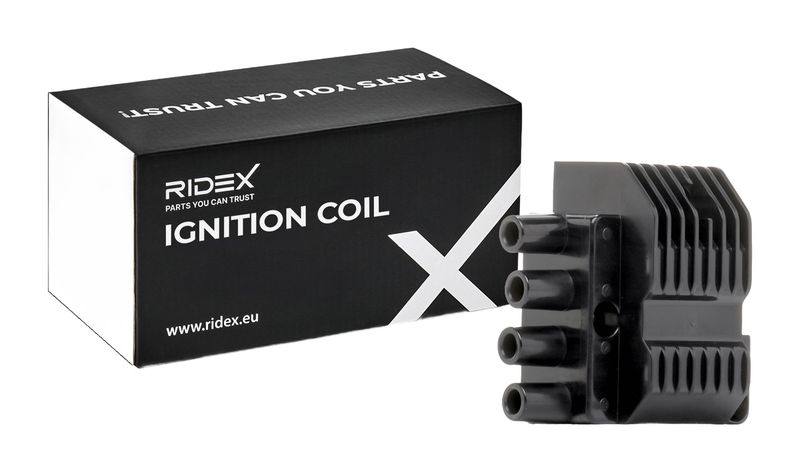 IGN-ICO-RID-LAN-NEW-0004 #1