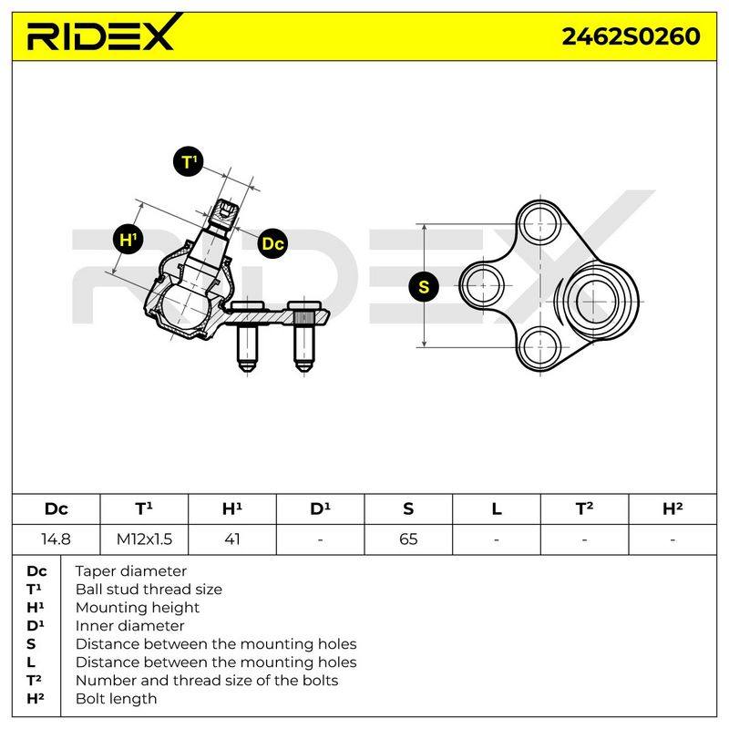 SUS-BJT-RID-SEA-NEW-0008 #3