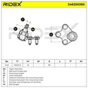 SUS-BJT-RID-SEA-NEW-0008 #3