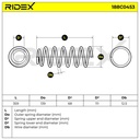 SUS-MSC-RID-SEA-NEW-0144 #1