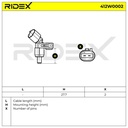ELE-SEN-RID-VW-NEW-0024 #1