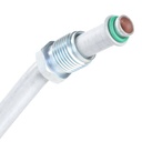 STR-MSC-RID-VW-NEW-0049 #2