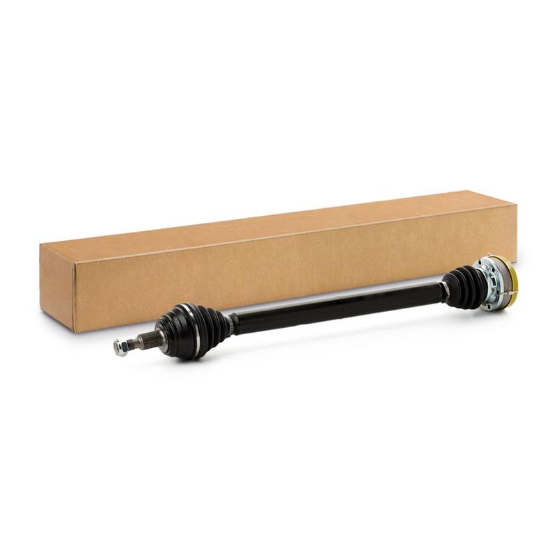 TRN-MSC-RID-VW-NEW-0171 #2