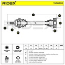 TRN-MSC-RID-VW-NEW-0197 #2