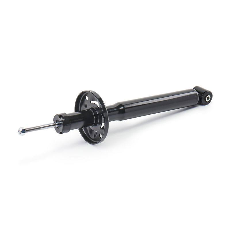 SUS-SHA-RID-VW-NEW-0148 #1