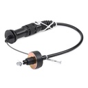 TRN-MSC-RID-VW-NEW-0019 #2