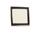 FIL-MSC-RID-VW-NEW-0884 #2