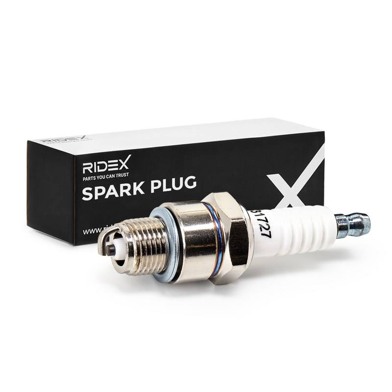 IGN-SPK-RID-PEU-NEW-0002 #4
