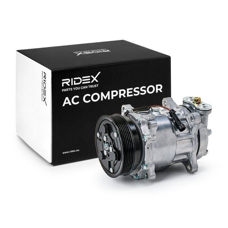 COO-MSC-RID-LAN-NEW-0010 #2