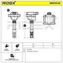 IGN-ICO-RID-LAN-NEW-0014 #2