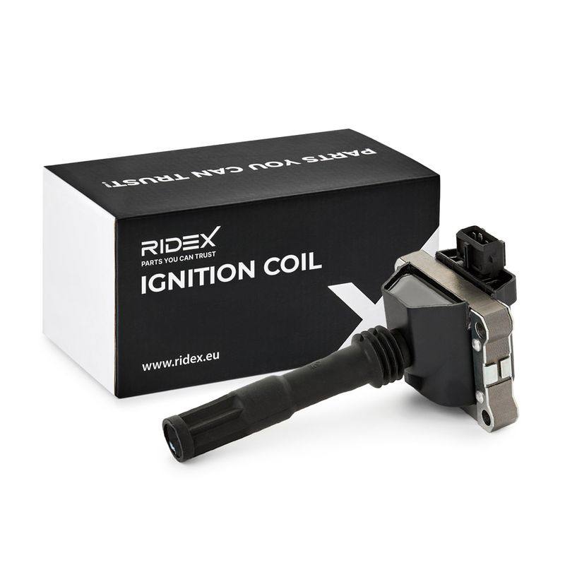 IGN-ICO-RID-LAN-NEW-0014 #4